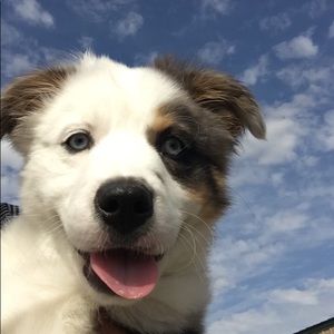 Meet your Posher, Reese